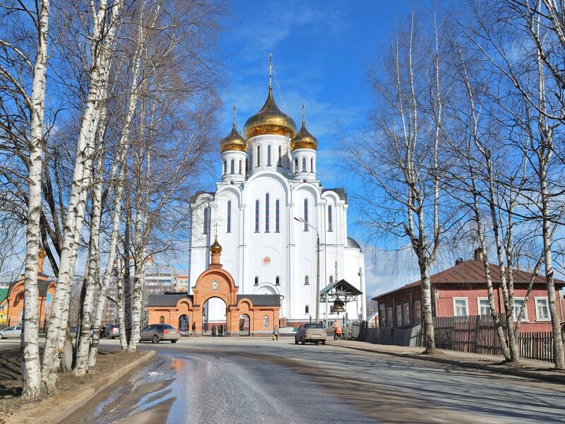 Купить чеки в Сыктывкаре